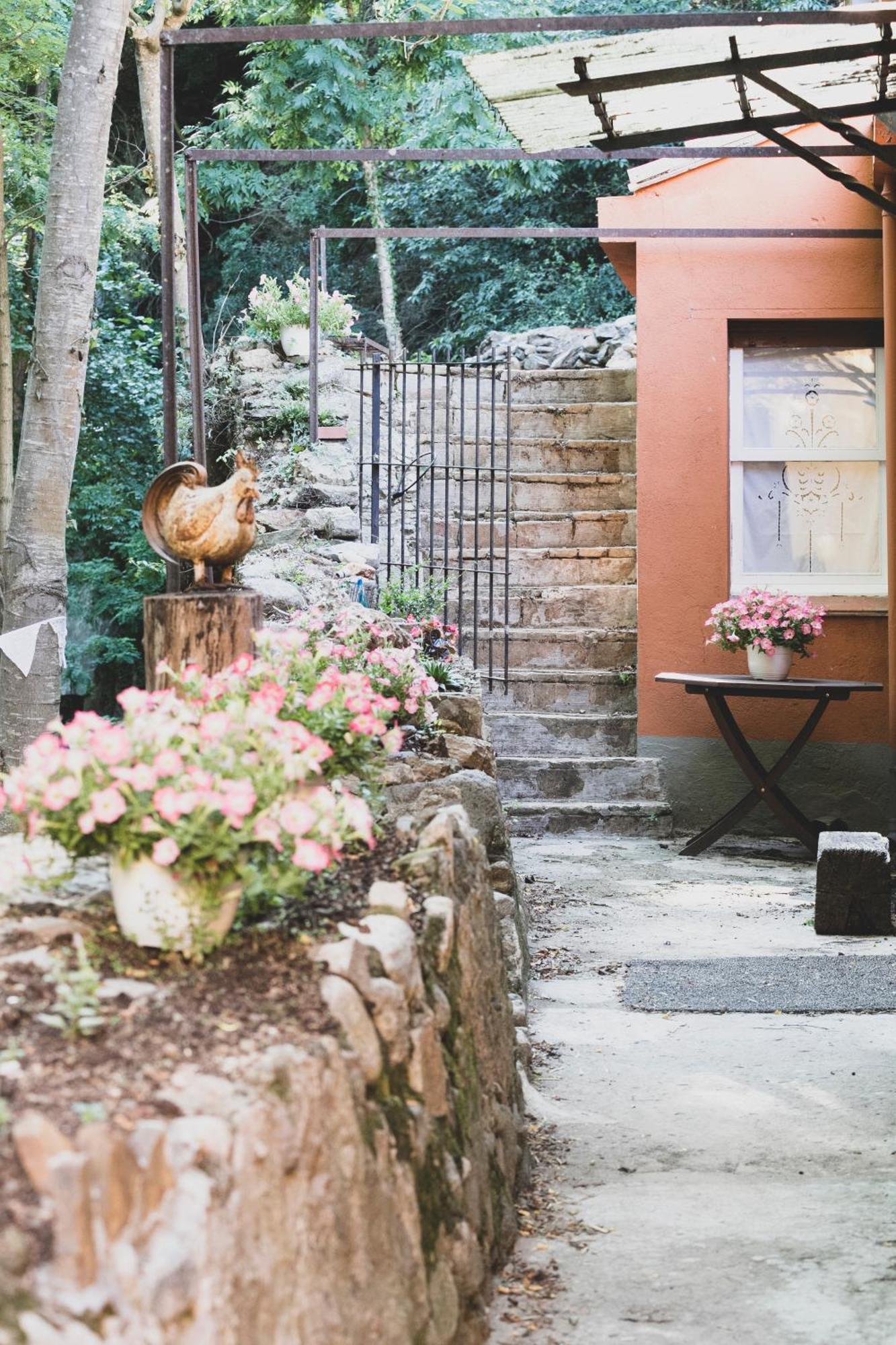 Holiday Home Can Clerc Osor Exterior foto